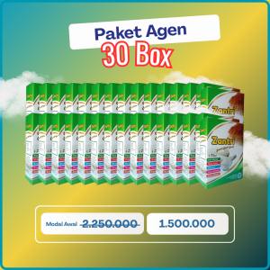 Paket Agen
