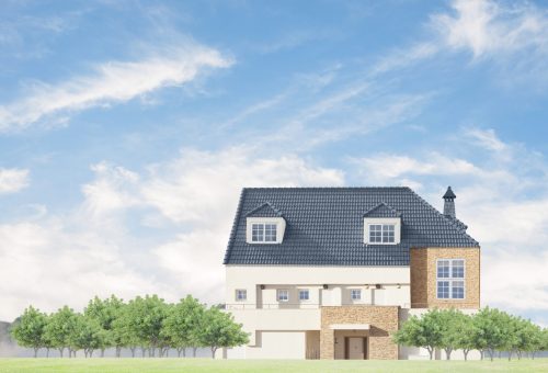 idillyc house in a meadow